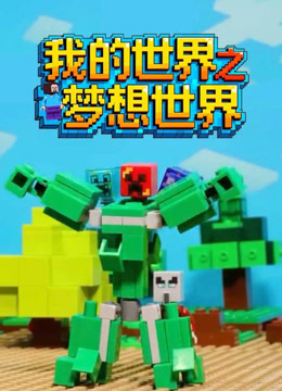 我的世界之梦想世界}