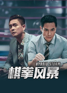 棋拳风暴(粤语)